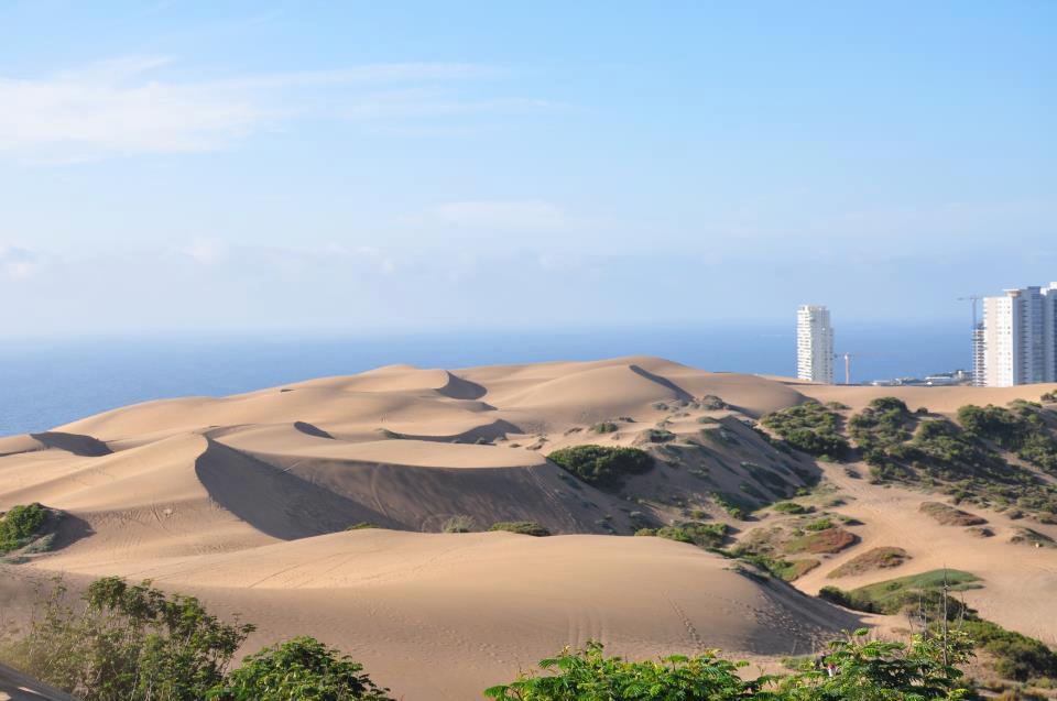 Passeio nas Dunas de Concon em Viña del Mar Passeio nas Dunas de Concon em Viña del Mar