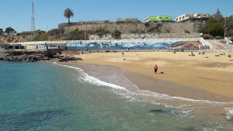 Passeio pelas praias de Valparaíso Passeio pelas praias de Valparaíso