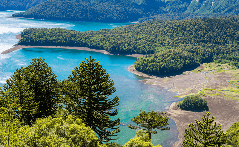 Parque Nacional Conguillio no Chile Parque Nacional Conguillio no Chile