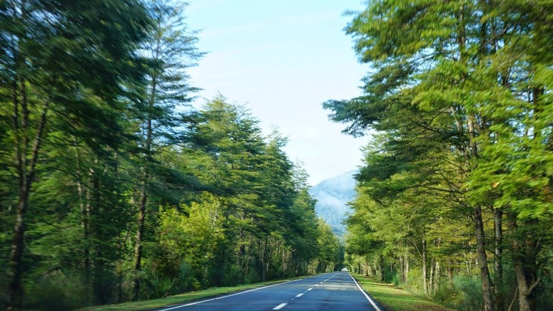 Estrada em Pucón, no Chile Estrada em Pucón, no Chile