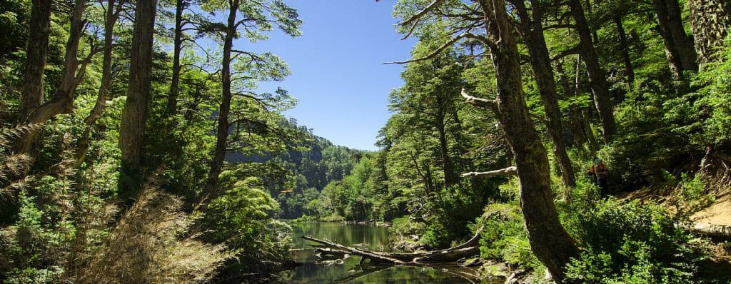 Parque Nacional Huerquehue em Pucón, Chile Parque Nacional Huerquehue em Pucón, Chile