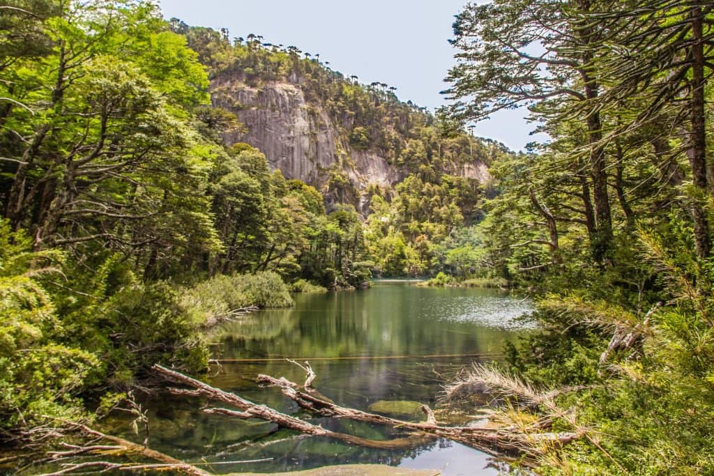 Parque Nacional Huerquehue em Pucón durante o verão Parque Nacional Huerquehue em Pucón durante o verão