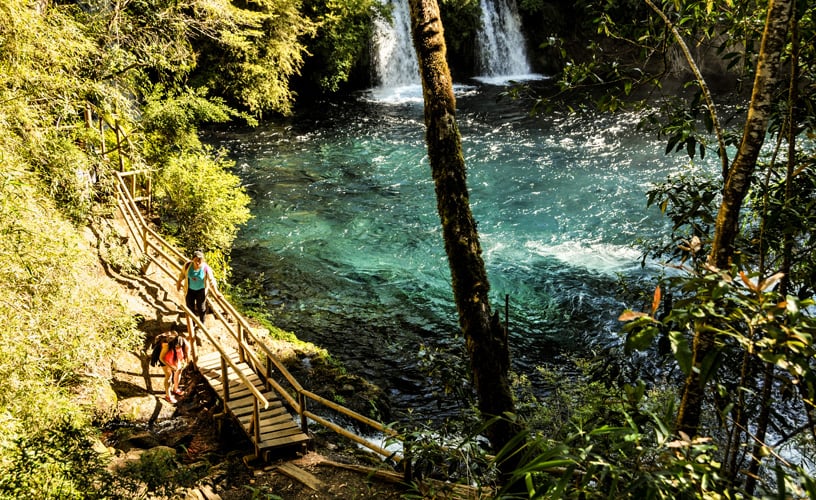 Trilhas da Cachoeira Ojos del Caburgua em Pucón Trilhas da Cachoeira Ojos del Caburgua em Pucón
