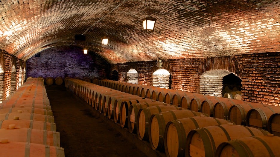 Vinícola Concha y Toro Vinícola Concha y Toro